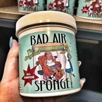 Buy Bad Air Sponge online